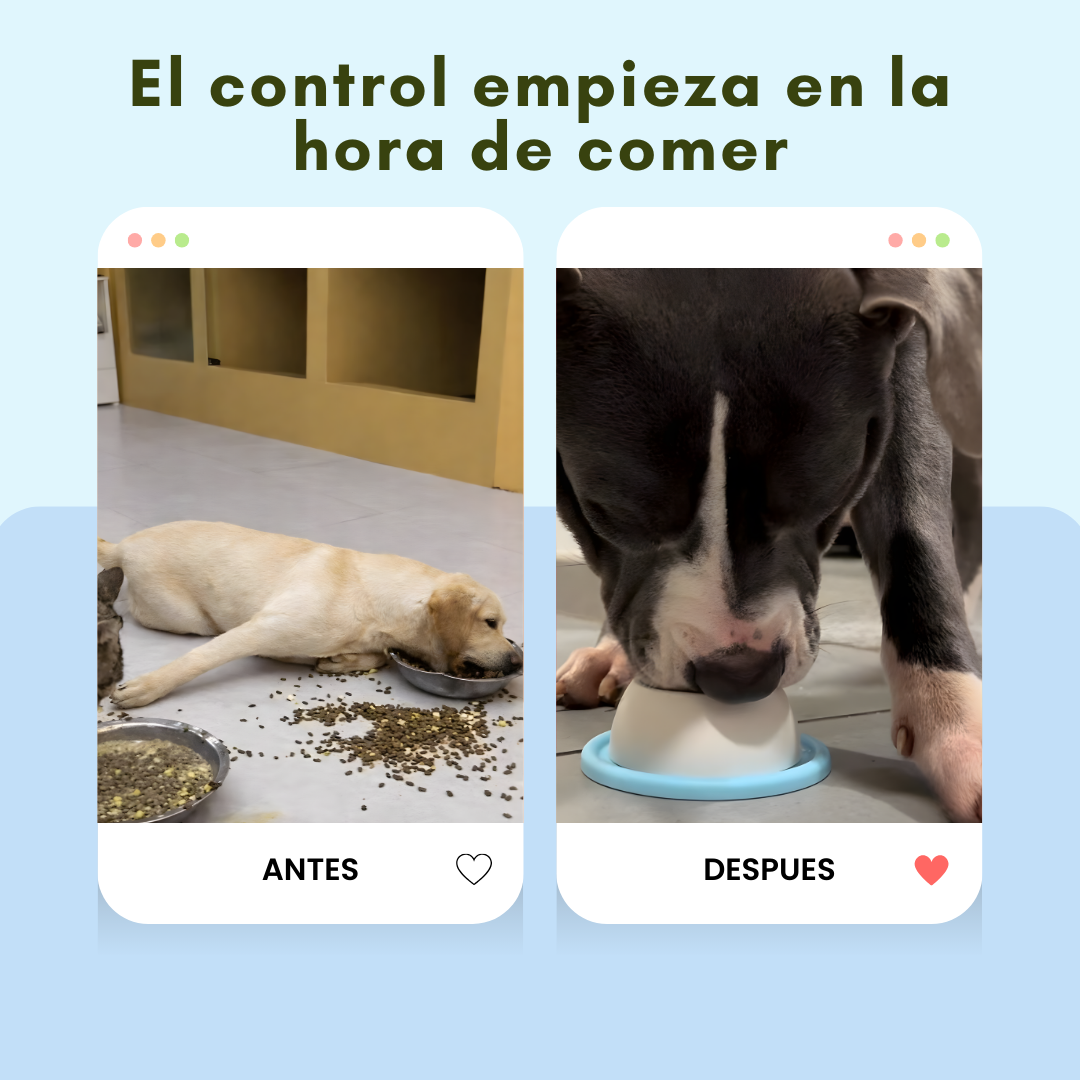 Tazón de alimentación inteligente