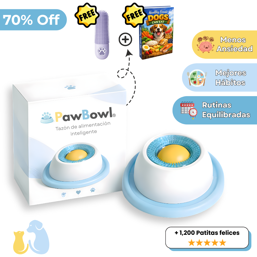 Tazón de alimentación inteligente