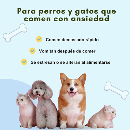 Tazón de alimentación inteligente